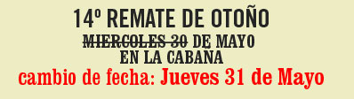 Vacas en venta