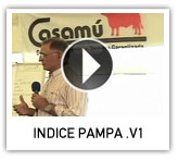 ver video