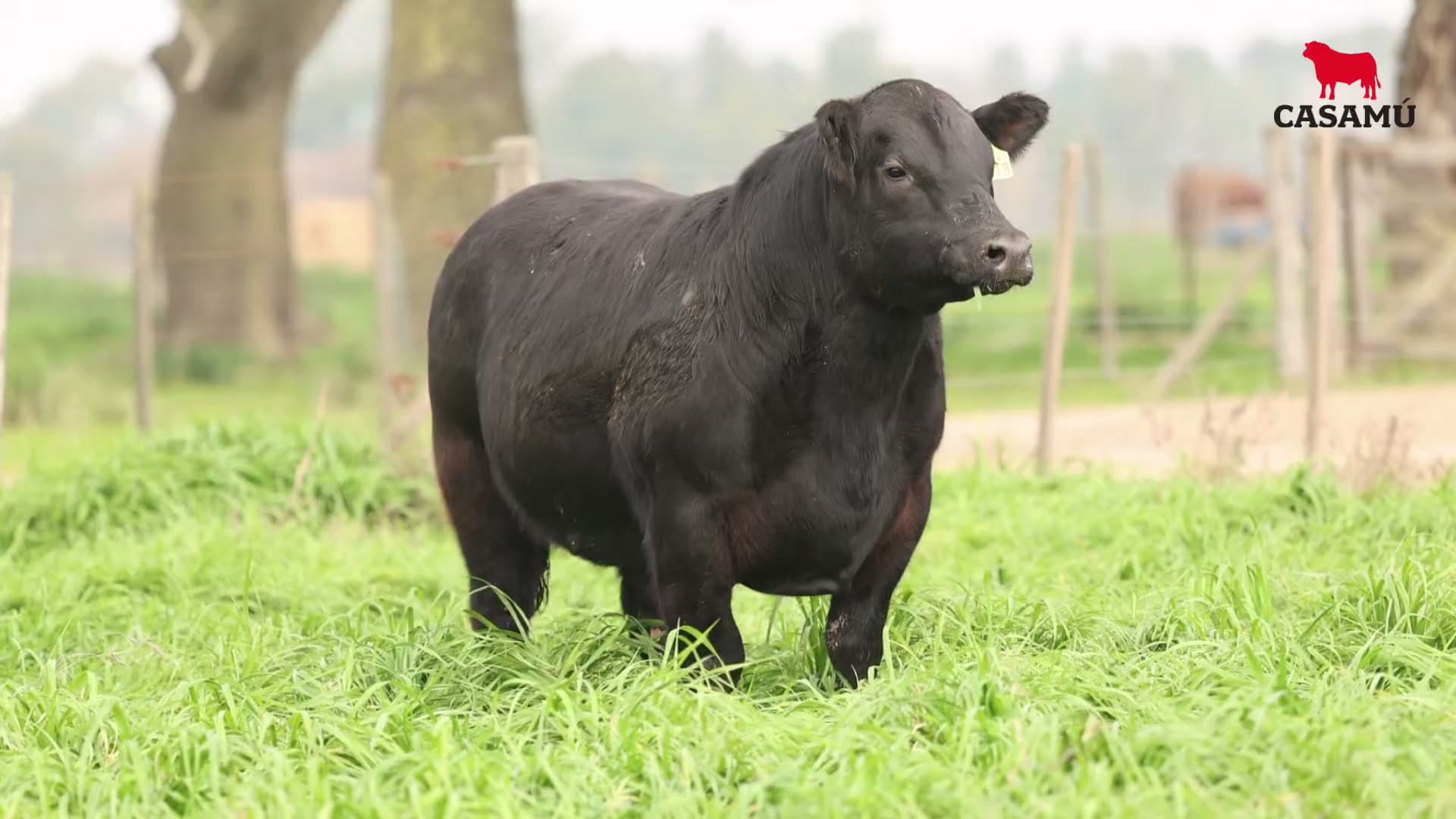 Toro RP 5418 · Lote 32