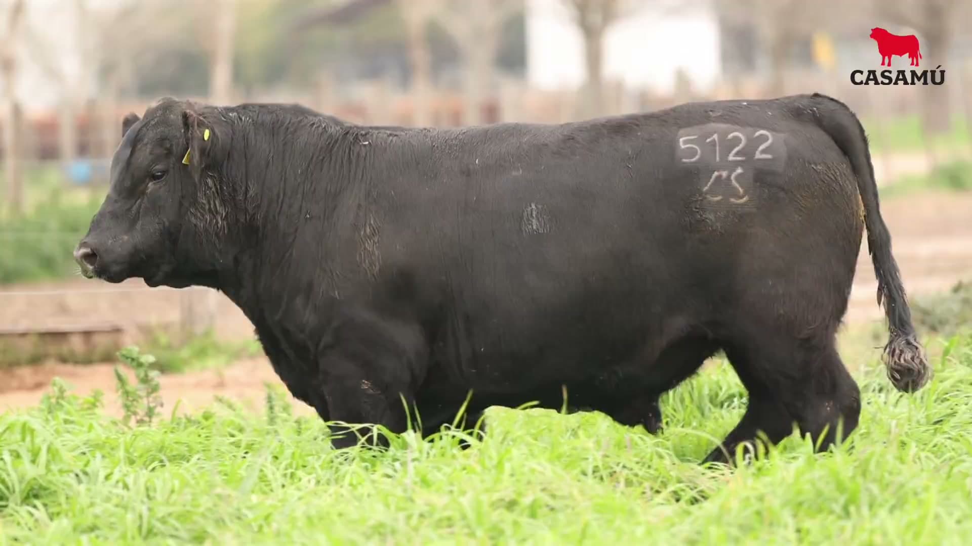 Toro RP 5122 · Lote 14