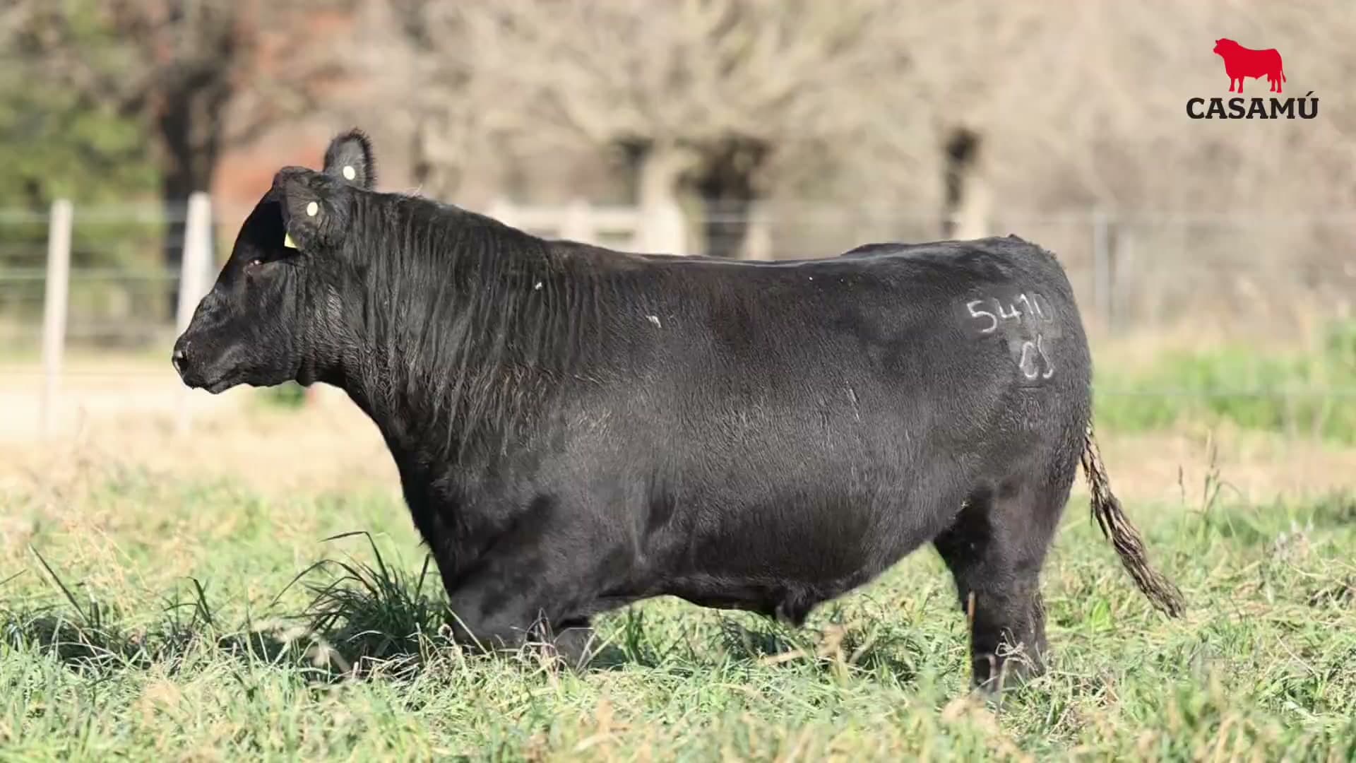 Toro RP 5410 · Lote 6