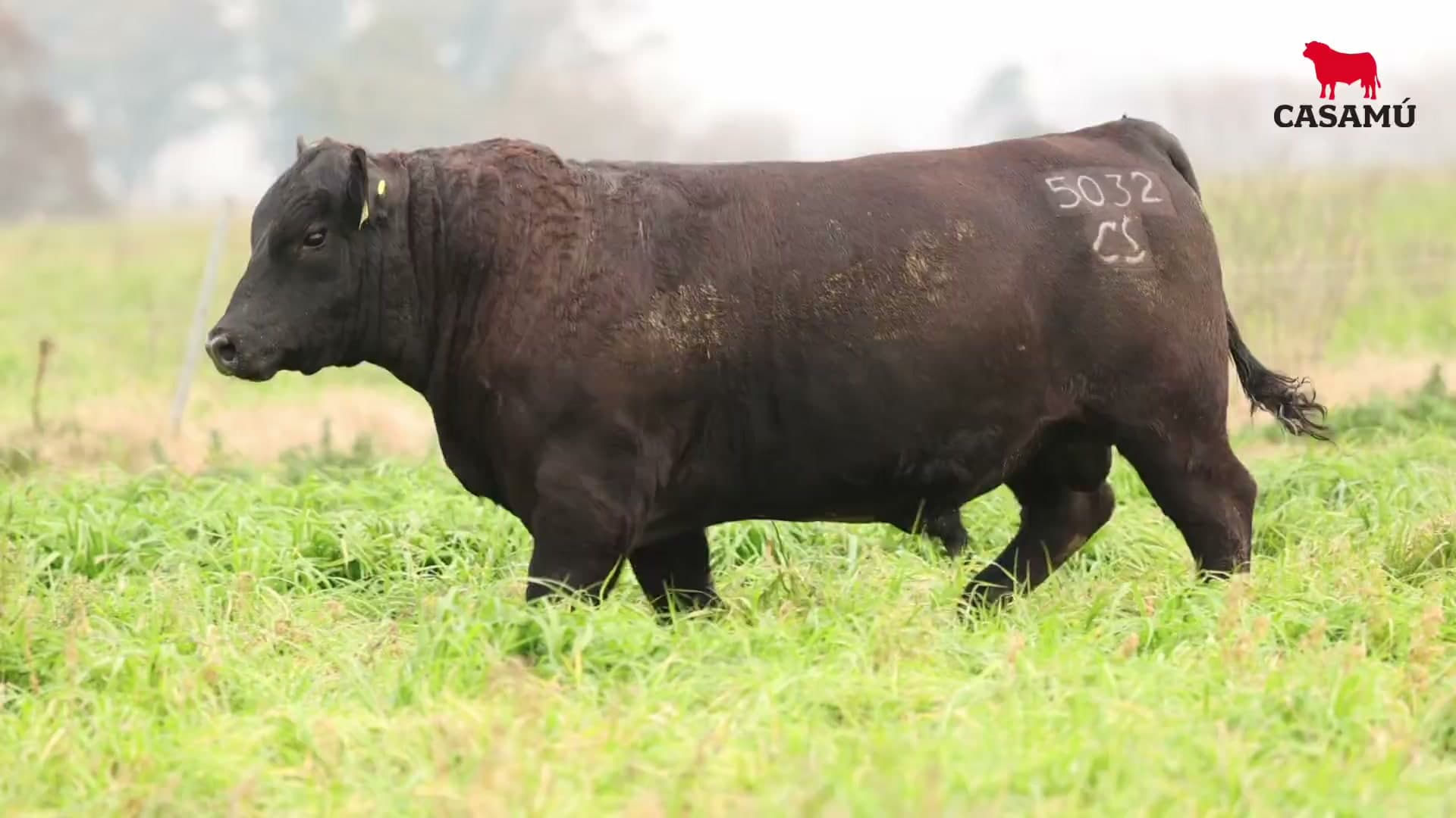 Toro RP 5032 · Lote 14