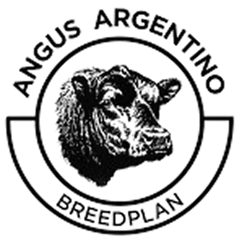 Sello Breedplan Angus Argentino