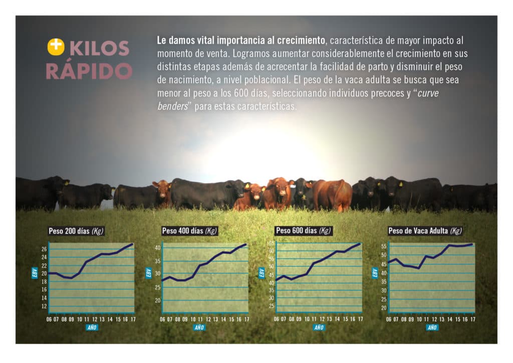 Evolución genética del rodeo Casamú — Gráfico 3