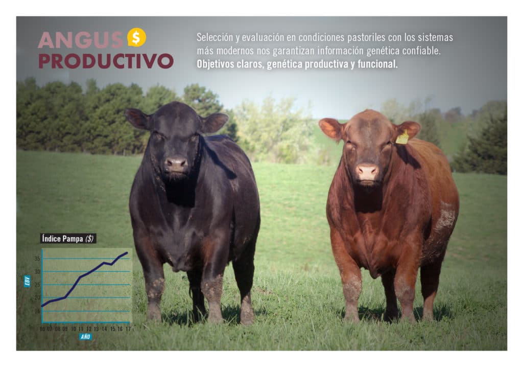 Evolución genética del rodeo Casamú — Gráfico 6