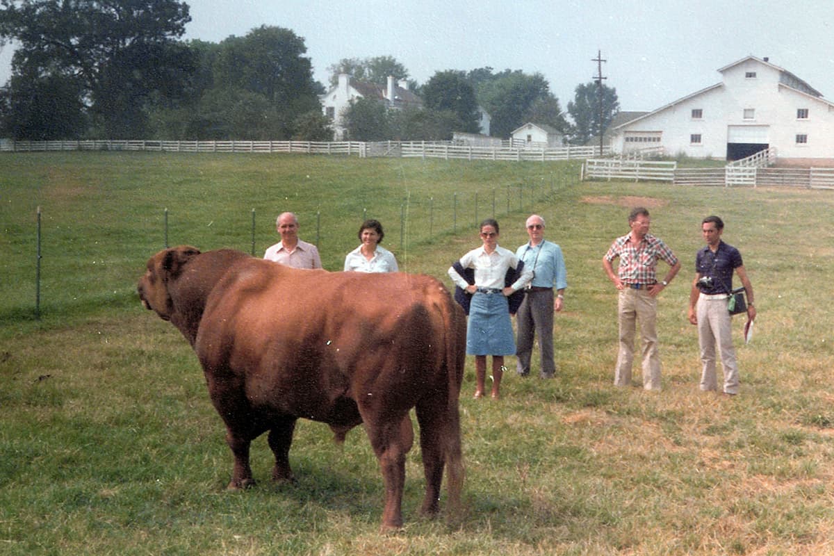 Contemplando a Choctaw Chief 373 en Wilson Farm