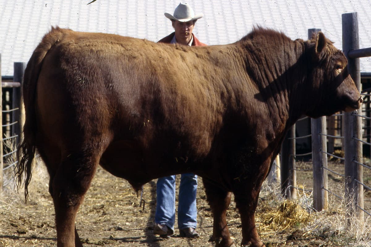 Jim Leachman con su orgullo del momento, Stampeder 60K