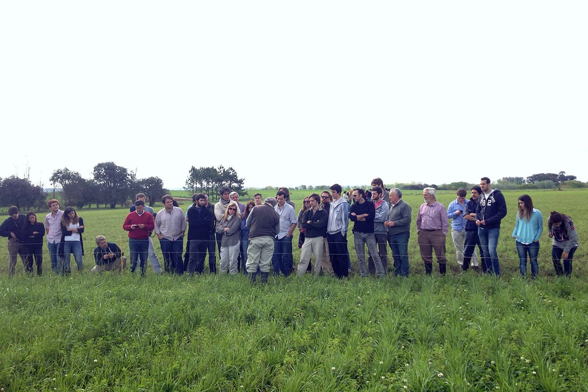 Visitantes recorriendo el campo de Casamú